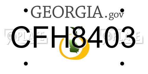 CFH8403 Georgia License Plate