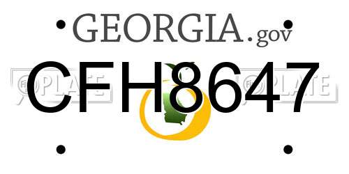 CFH8647 Georgia License Plate