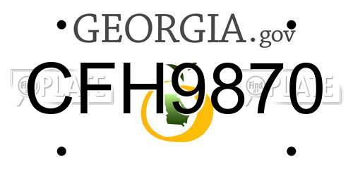 CFH9870 Georgia License Plate