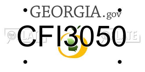 CFI3050 Georgia License Plate
