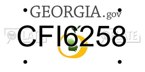 CFI6258 Georgia License Plate
