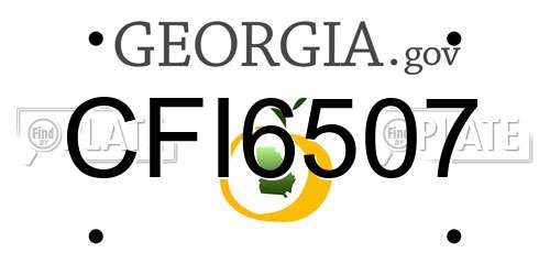 CFI6507 Georgia License Plate