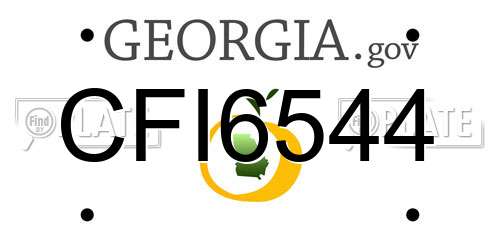 CFI6544 Georgia License Plate