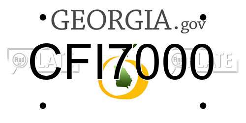 CFI7000 Georgia License Plate