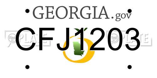 CFJ1203 Georgia License Plate