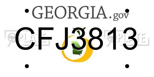 CFJ3813 Georgia License Plate