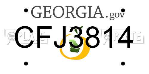 CFJ3814 Georgia License Plate