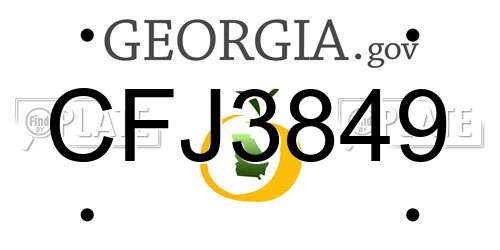 CFJ3849 Georgia License Plate
