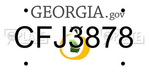 CFJ3878 Georgia License Plate