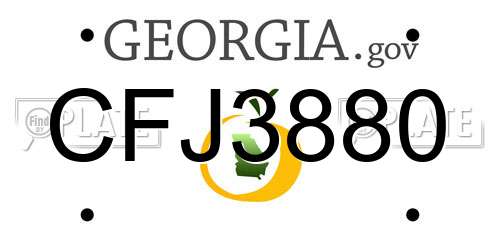 CFJ3880 Georgia License Plate