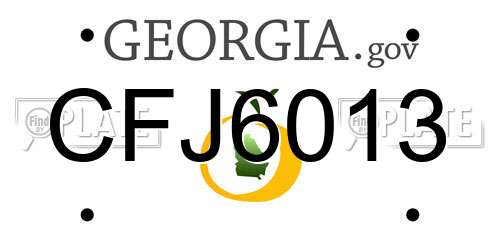 CFJ6013 Georgia License Plate