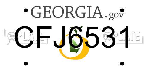 CFJ6531 Georgia License Plate
