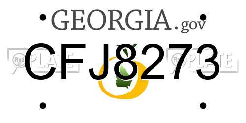 CFJ8273 Georgia License Plate