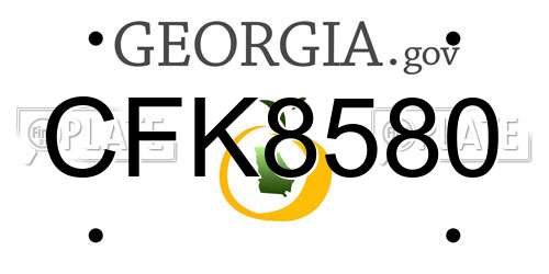CFK8580 Georgia License Plate