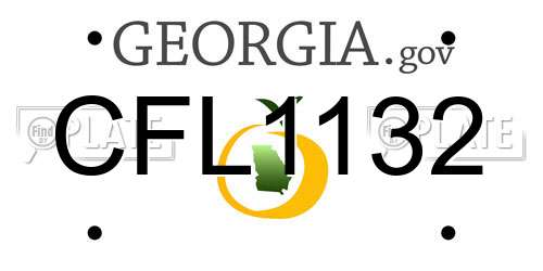 CFL1132 Georgia License Plate