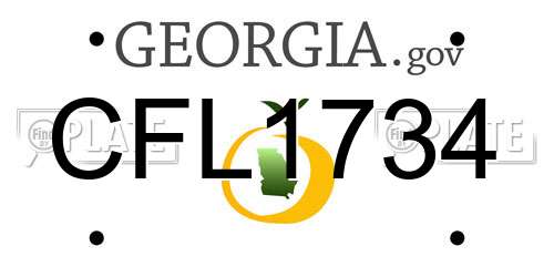 CFL1734 Georgia License Plate