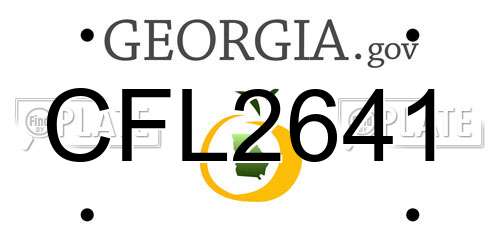 CFL2641 Georgia License Plate
