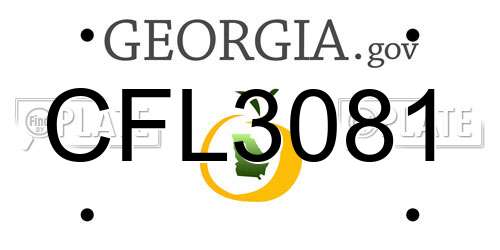 CFL3081 Georgia License Plate