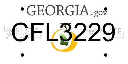 CFL3229 Georgia License Plate