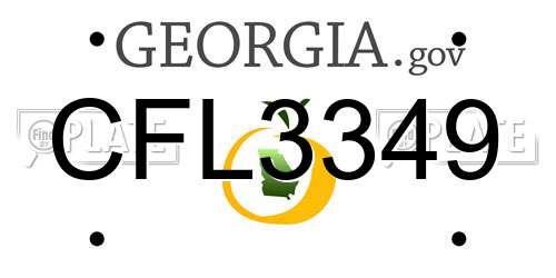 CFL3349 Georgia License Plate