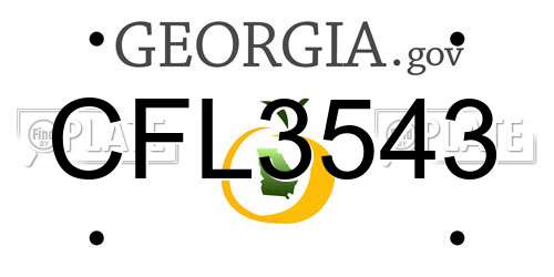 CFL3543 Georgia License Plate