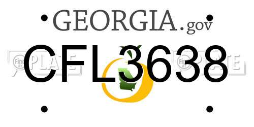 CFL3638 Georgia License Plate