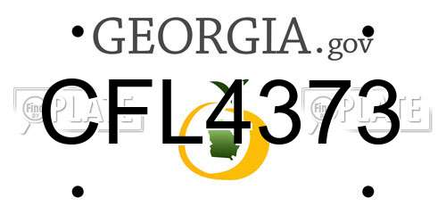 CFL4373 Georgia License Plate