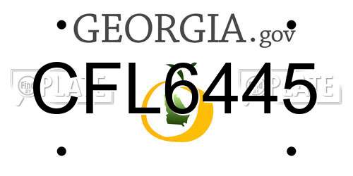 CFL6445 Georgia License Plate