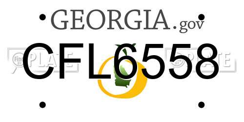 CFL6558 Georgia License Plate
