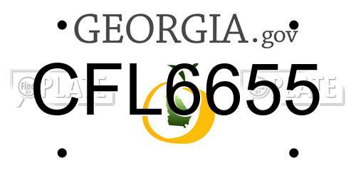 CFL6655 Georgia License Plate