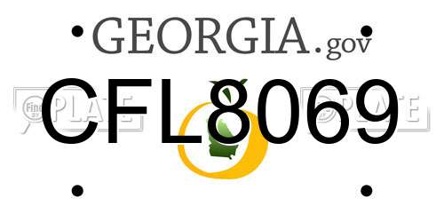 CFL8069 Georgia License Plate