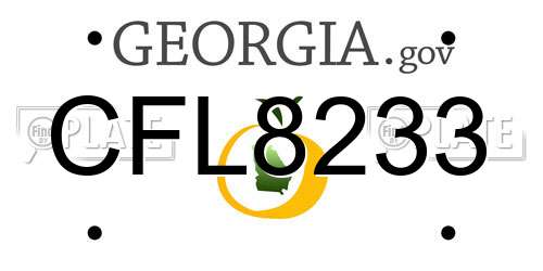 CFL8233 Georgia License Plate