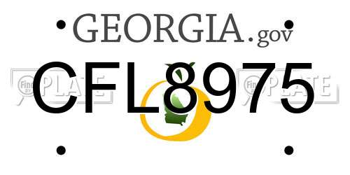 CFL8975 Georgia License Plate