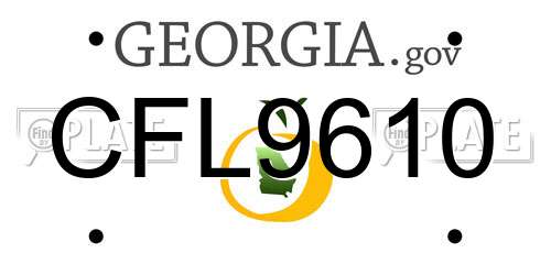 CFL9610 Georgia License Plate