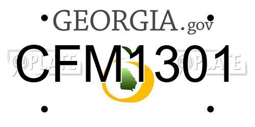 CFM1301 Georgia License Plate