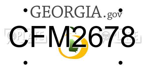 CFM2678 Georgia License Plate