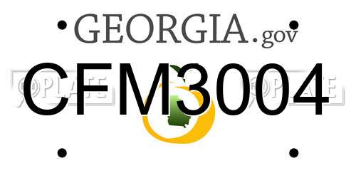 CFM3004 Georgia License Plate