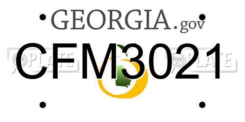 CFM3021 Georgia License Plate