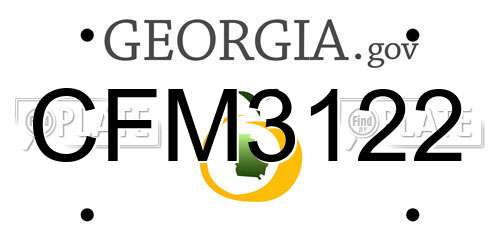 CFM3122 Georgia License Plate