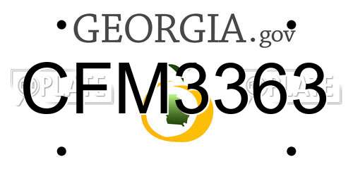 CFM3363 Georgia License Plate