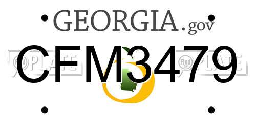 CFM3479 Georgia License Plate