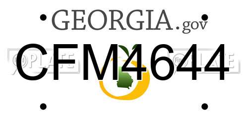 CFM4644 Georgia License Plate