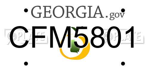 CFM5801 Georgia License Plate