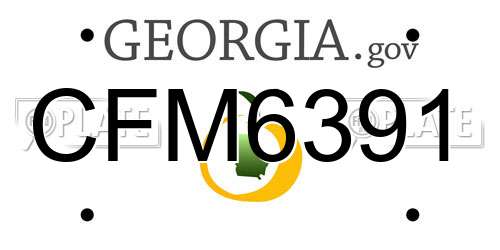 CFM6391 Georgia License Plate