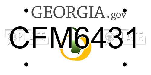 CFM6431 Georgia License Plate