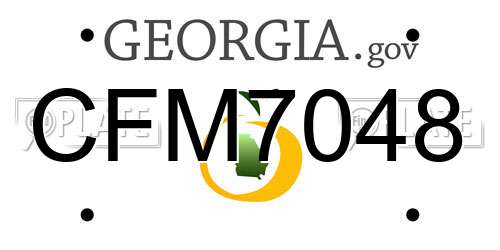 CFM7048 Georgia License Plate