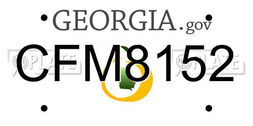 CFM8152 Georgia License Plate