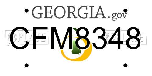CFM8348 Georgia License Plate