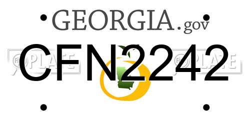 CFN2242 Georgia License Plate