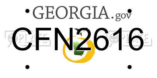 CFN2616 Georgia License Plate